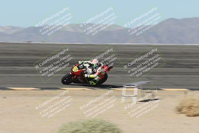 media/Oct-13-2025-Moto Forza (Mon) [[a66d839500]]/2-A Group/Session 2 (Bowl)/